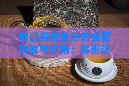 普洱茶黄金叶的全面功效与作用：解密这一珍贵茶叶的药用价值和健益处