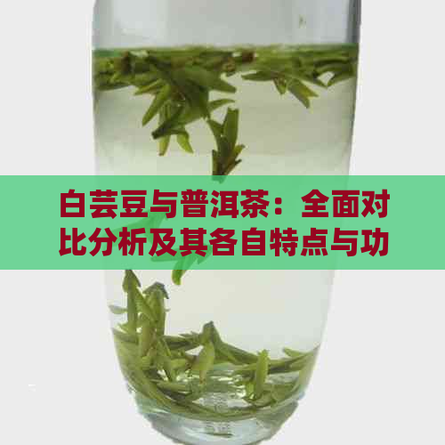 白芸豆与普洱茶：全面对比分析及其各自特点与功效