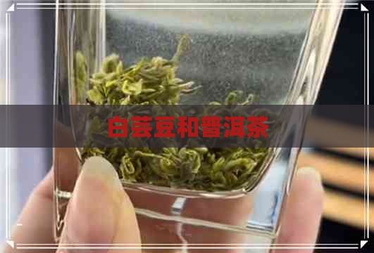 白芸豆和普洱茶