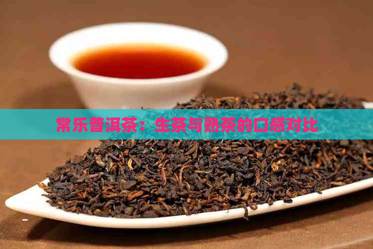 常乐普洱茶：生茶与熟茶的口感对比