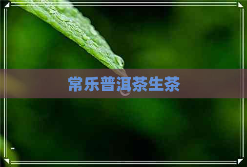 常乐普洱茶生茶