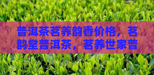 普洱茶茗养韵香价格，茗韵堂普洱茶，茗养世家普洱茶，茗润普洱茶