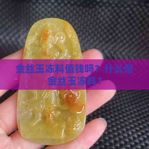 金丝玉冻料值钱吗？什么是金丝玉冻料？