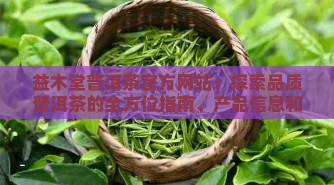 益木堂普洱茶官方网站：探索品质普洱茶的全方位指南、产品信息和购买渠道