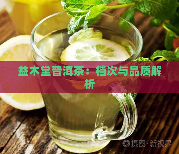 益木堂普洱茶：档次与品质解析