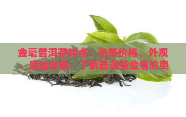 金毫普洱茶特点：熟茶价格、外观、质量详解，了解普洱茶金毫的奥秘