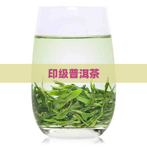 印级普洱茶