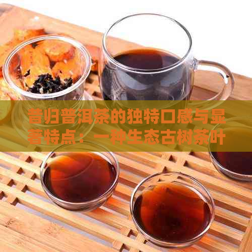 昔归普洱茶的独特口感与显著特点：一种生态古树茶叶的文化品味