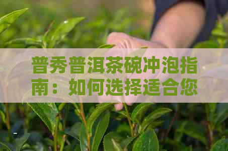 普秀普洱茶碗冲泡指南：如何选择适合您的普洱茶