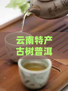 云南特产古树普洱生茶图片及价格表 - 玲珑茶业