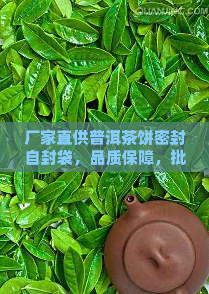 厂家直供普洱茶饼密封自封袋，品质保障，批发价格实