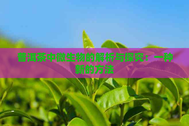 普洱茶中微生物的解析与探究：一种新的方法