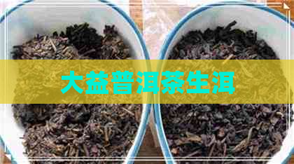 大益普洱茶生洱