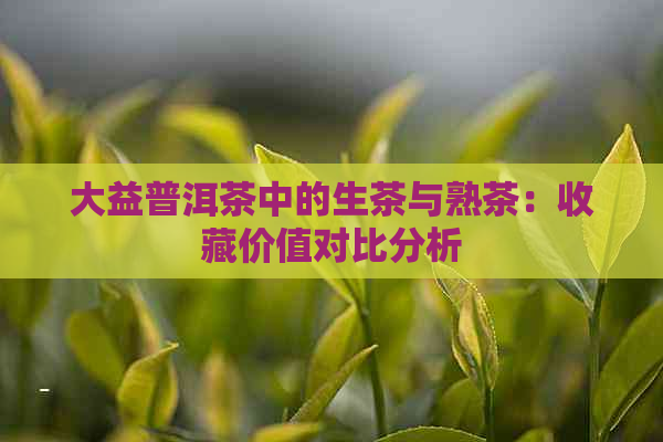 大益普洱茶中的生茶与熟茶：收藏价值对比分析