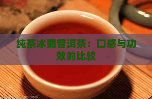 纯茶冰菊普洱茶：口感与功效的比较