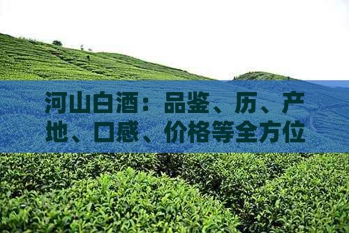 河山白酒：品鉴、历、产地、口感、价格等全方位解答，助您成为白酒专家