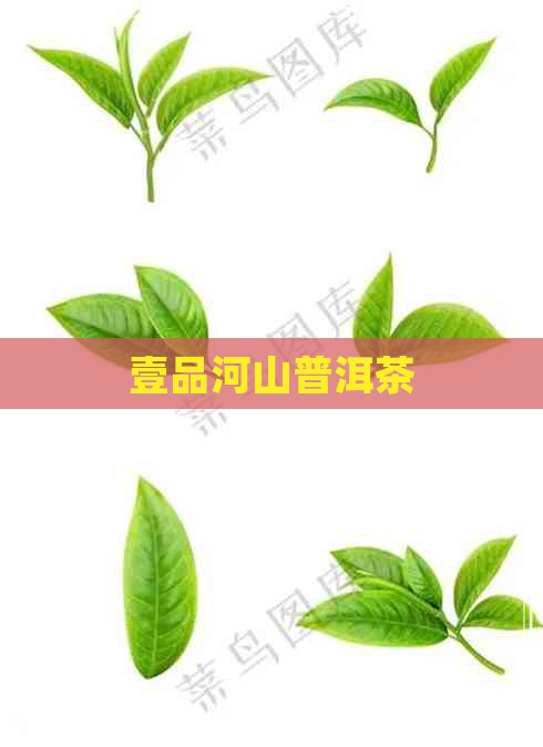 壹品河山普洱茶