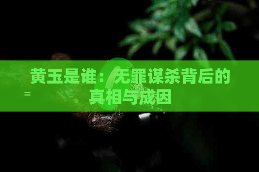 黄玉是谁：无罪谋杀背后的真相与成因