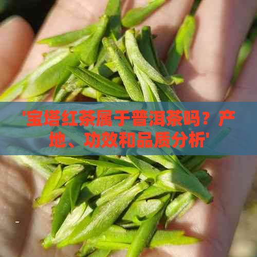 '宝塔红茶属于普洱茶吗？产地、功效和品质分析'