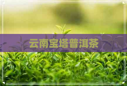 云南宝塔普洱茶