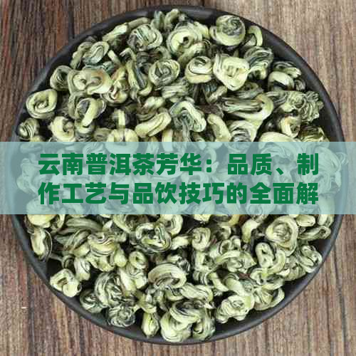 云南普洱茶芳华：品质、制作工艺与品饮技巧的全面解析