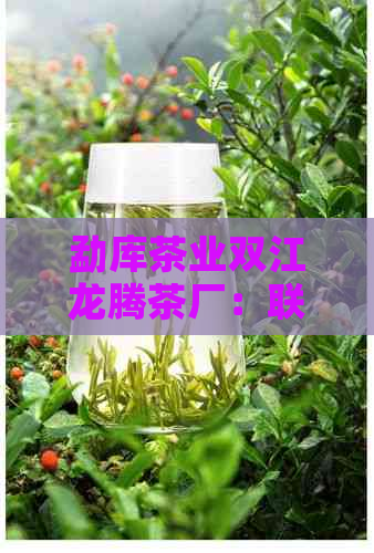 勐库茶业双江龙腾茶厂：联系方式、产品质量、茶叶种类等一应俱全的全面信息