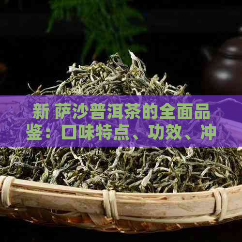 新 萨沙普洱茶的全面品鉴：口味特点、功效、冲泡方法及适合搭配食物详解