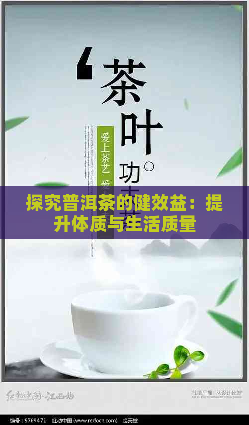 探究普洱茶的健效益：提升体质与生活质量