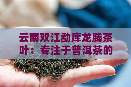 云南双江勐库龙腾茶叶：专注于普洱茶的云南省企业