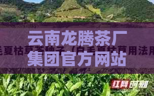 云南龙腾茶厂集团官方网站