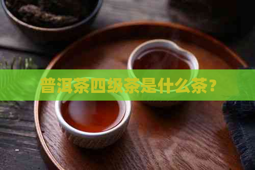 普洱茶四级茶是什么茶？