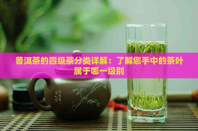 普洱茶的四级茶分类详解：了解您手中的茶叶属于哪一级别