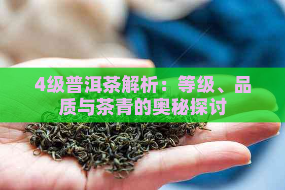 4级普洱茶解析：等级、品质与茶青的奥秘探讨