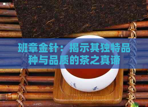 班章金针：揭示其独特品种与品质的茶之真谛