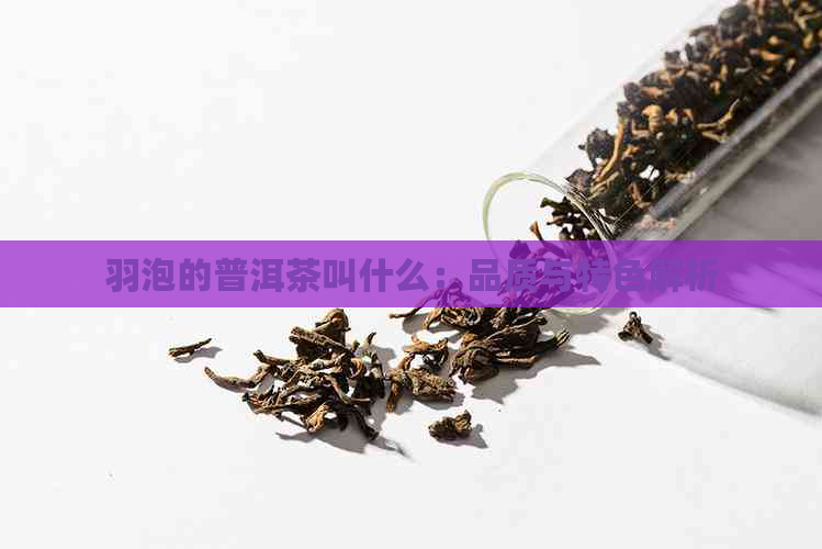 羽泡的普洱茶叫什么：品质与特色解析