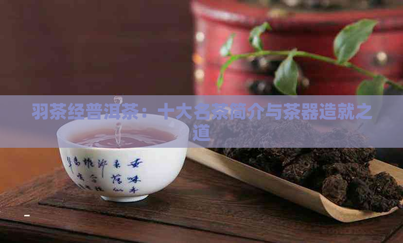 羽茶经普洱茶：十大名茶简介与茶器造就之道