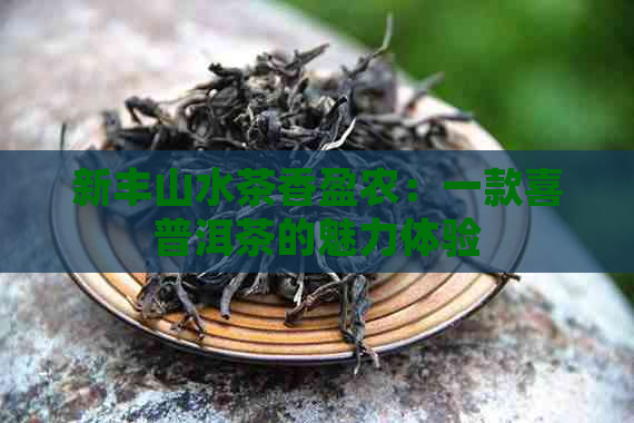 新丰山水茶香盈农：一款喜普洱茶的魅力体验