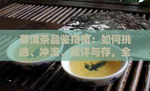 普洱茶品鉴指南：如何挑选、冲泡、品评与存，全方位解答您的疑问