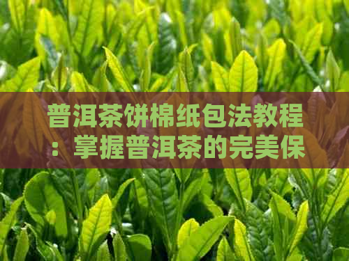 普洱茶饼棉纸包法教程：掌握普洱茶的完美保存方法