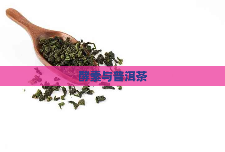 酵素与普洱茶