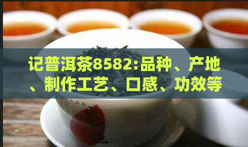 记普洱茶8582:品种、产地、制作工艺、口感、功效等全方位解析与品鉴指南