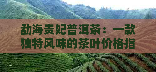 勐海贵妃普洱茶：一款独特风味的茶叶价格指南