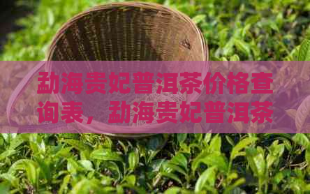 勐海贵妃普洱茶价格查询表，勐海贵妃普洱茶最新价格