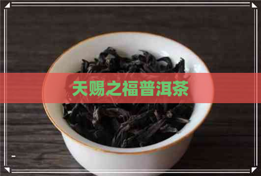 天赐之福普洱茶