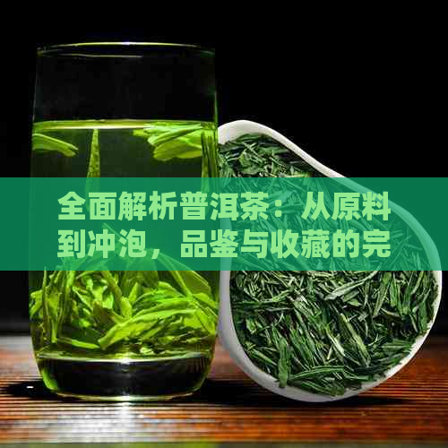 全面解析普洱茶：从原料到冲泡，品鉴与收藏的完整指南 - 经典普洱茶论坛