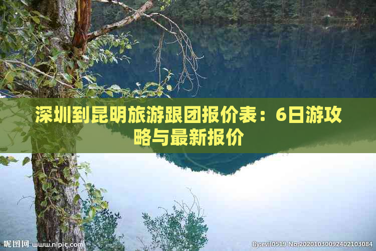 深圳到昆明旅游跟团报价表：6日游攻略与最新报价