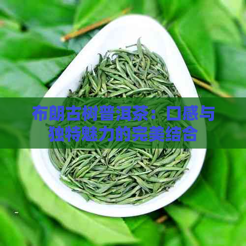 布朗古树普洱茶：口感与独特魅力的完美结合