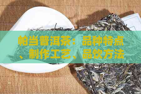 帕当普洱茶：品种特点、制作工艺、品饮方法及健益处全面解析