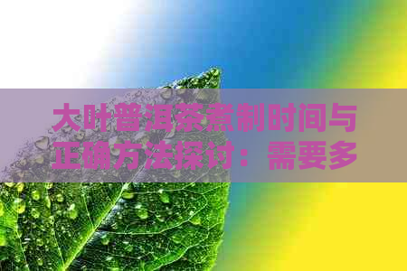 大叶普洱茶煮制时间与正确方法探讨：需要多长时间才能品尝到口感？