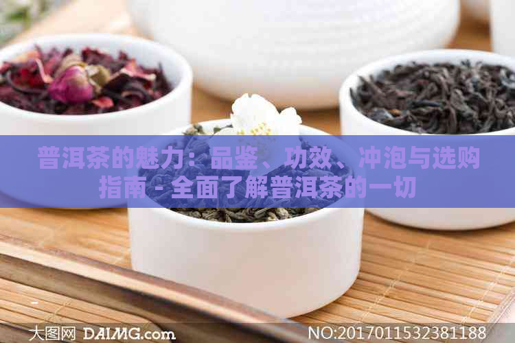 普洱茶的魅力：品鉴、功效、冲泡与选购指南 - 全面了解普洱茶的一切